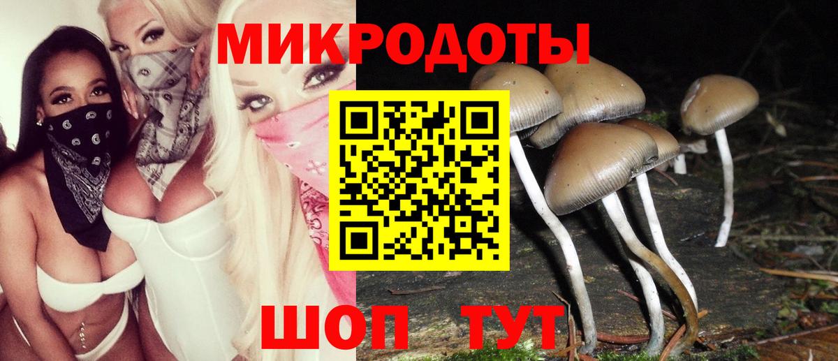 Галлюциногенные грибы Psilocybine cubensis Улан-Удэ
