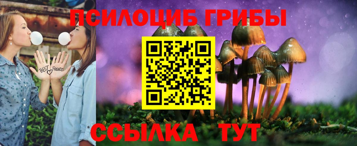 Галлюциногенные грибы мицелий  Галлюциногенные грибы MAGIC MUSHROOMS  Улан-Удэ  Вход с VPN 